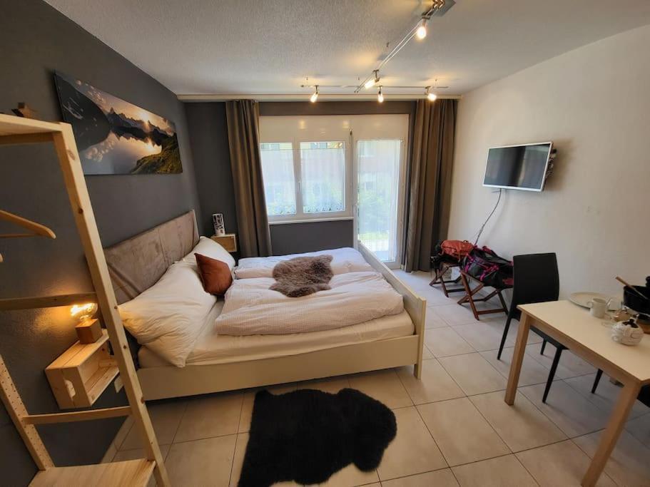 Ski-in Cosy Apartmán *