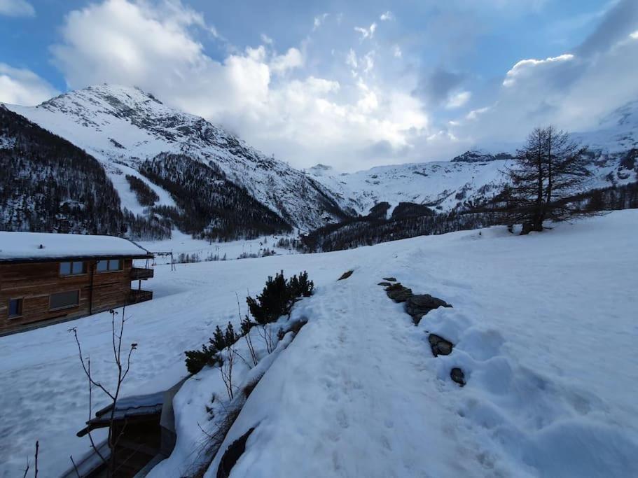 Appartement Ski-in Cosy Saas Fee