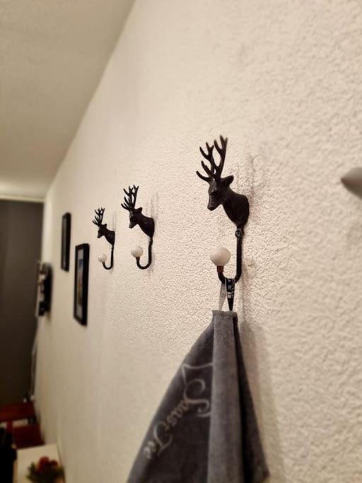Appartement Ski-in Cosy *